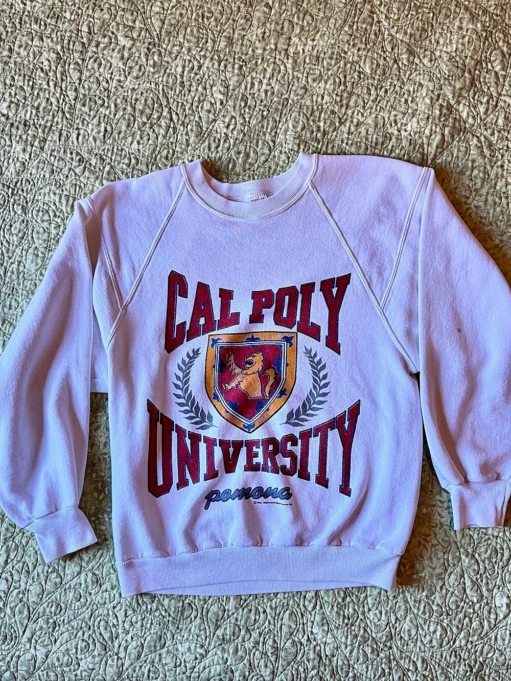 VTG 80s Jerzees Cal Poly Pomona University Graphic Sweatshirt Small
